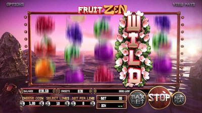 BETSOFT FruitZen screenshot2